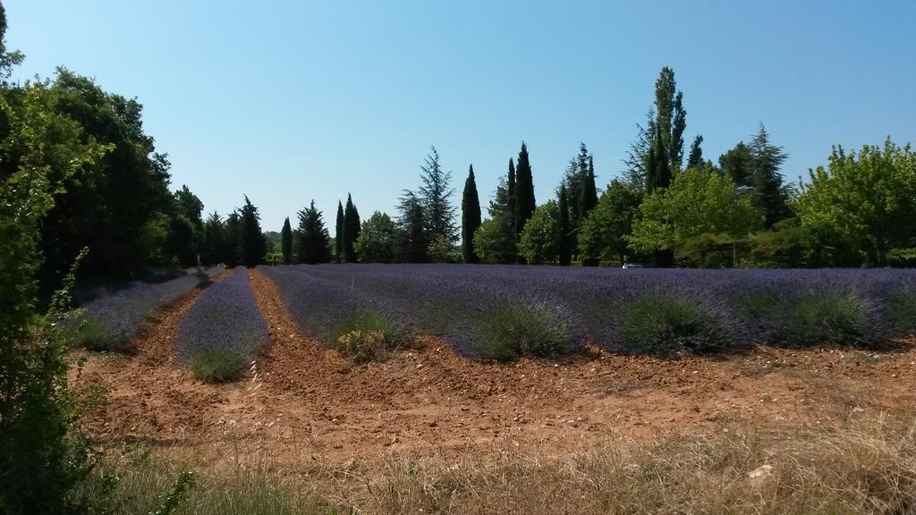 Residence Les Rossignols Roussillon  Luaran gambar