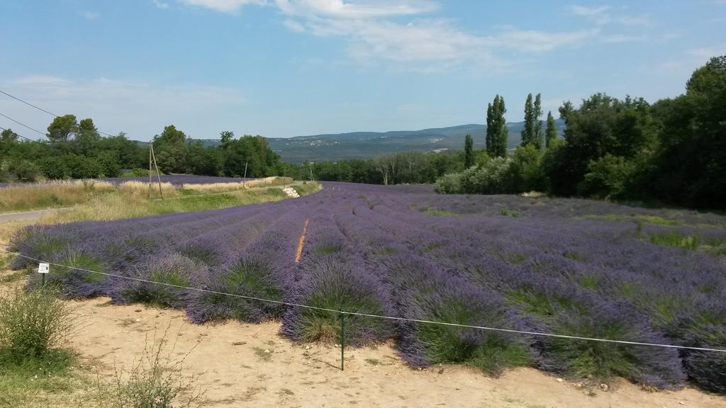 Residence Les Rossignols Roussillon  Luaran gambar